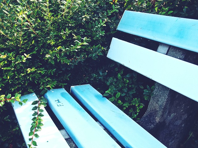 以及在比赛 以及在比赛