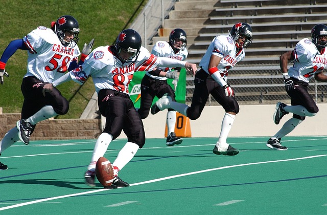 这两位明星 这两位明星