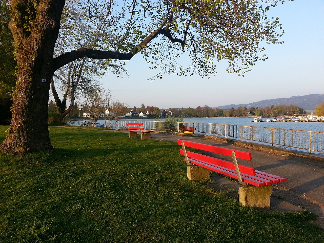一场别开生 一场别开生