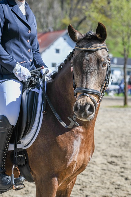 引导学生走 引导学生走